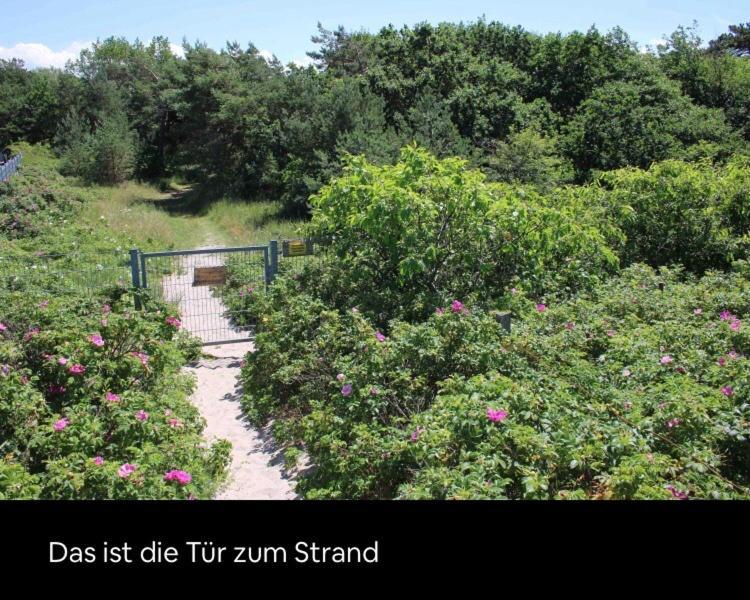Die Kleine Acht - Direkt Am Strand Dierhagen Esterno foto