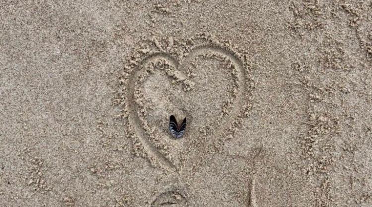 Die Kleine Acht - Direkt Am Strand Dierhagen Esterno foto